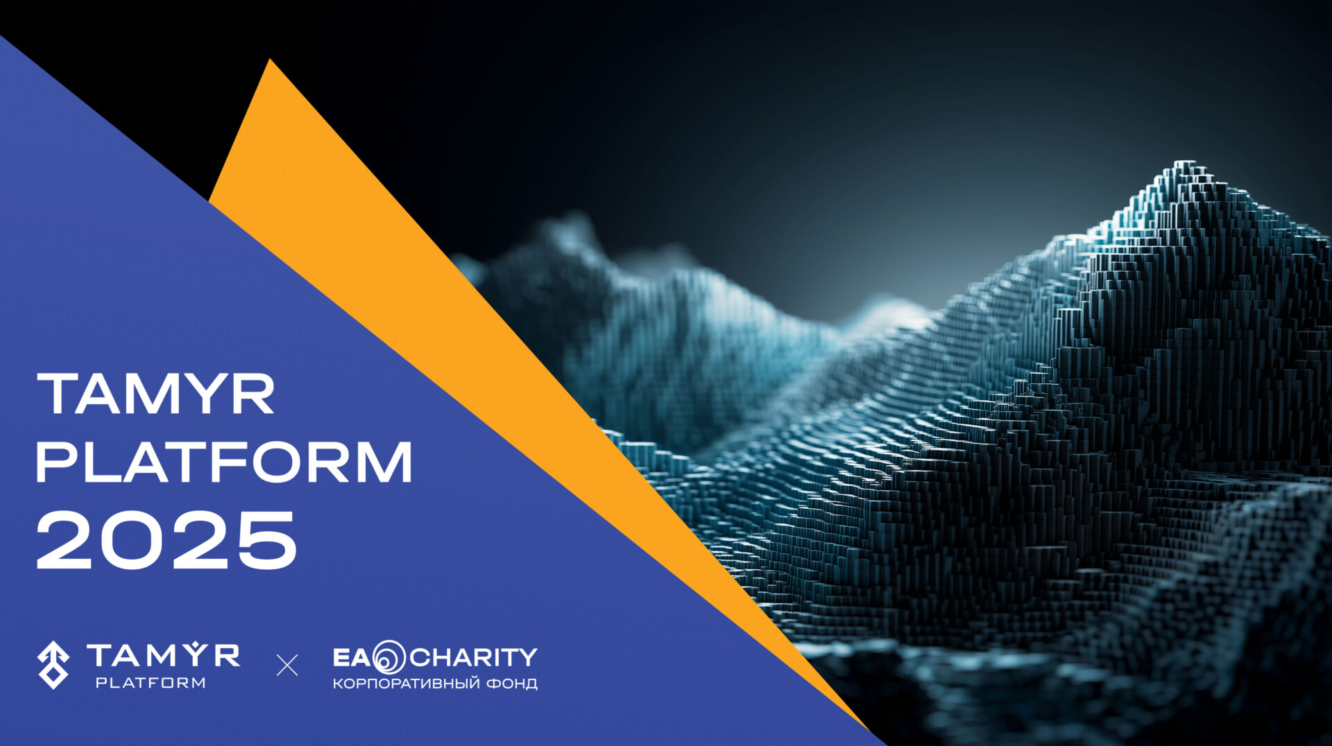 Image: Tamyr Platform